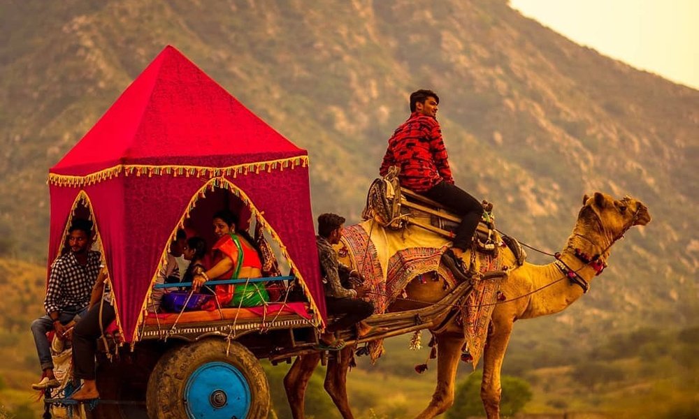Camel Safari in Pushkar