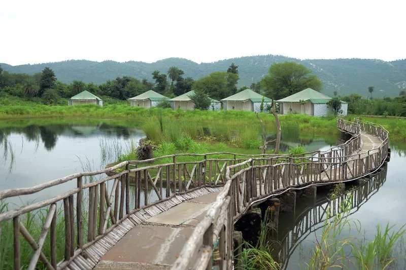 Jaipur to Sariska National Park taxi